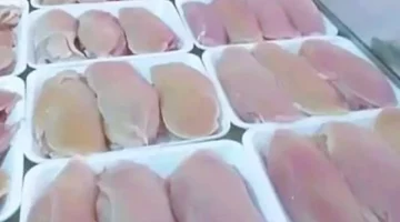 أسعار الدواجن في كفر الشيخ تتصدر: كيلو البانية بـ175 جنيهاً الثلاثاء